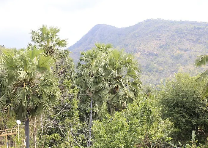 巴厘岛艾湄天堂瓦荣旅馆